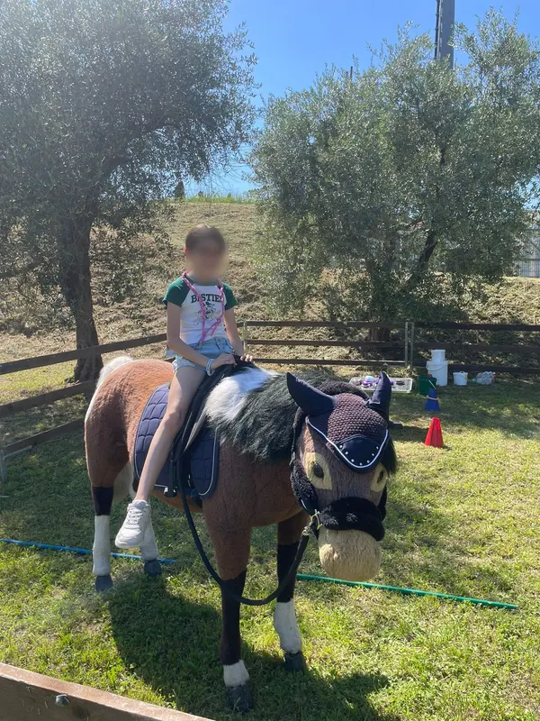 Una bambina seduta su un pony pezzato, sotto un ulivo