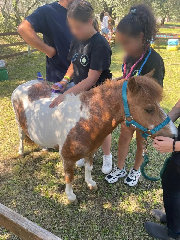 Due ragazze spazzolano un pony insieme a un’operatrice