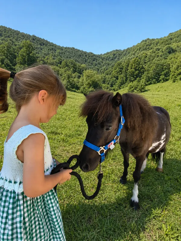 Un momento di tenerezza con il pony