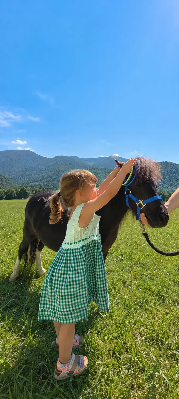 Un momento dal nostro incontro con i pony