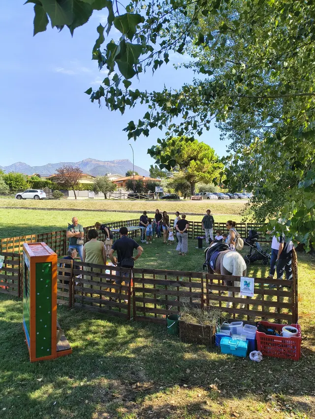 Panoramica del festival con visitatori, pony e montagne sullo sfondo