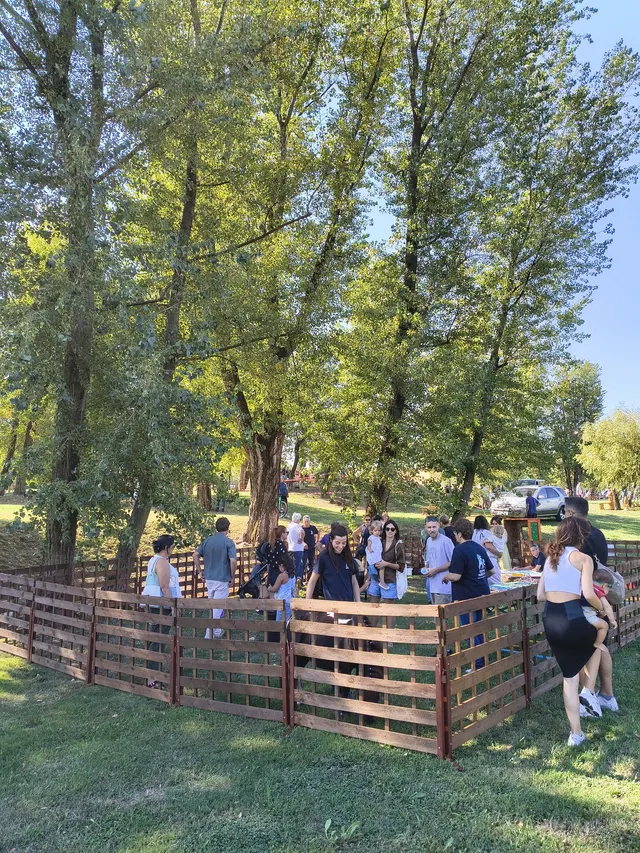 Famiglie e bambini osservano le attività con i pony lungo la staccionata