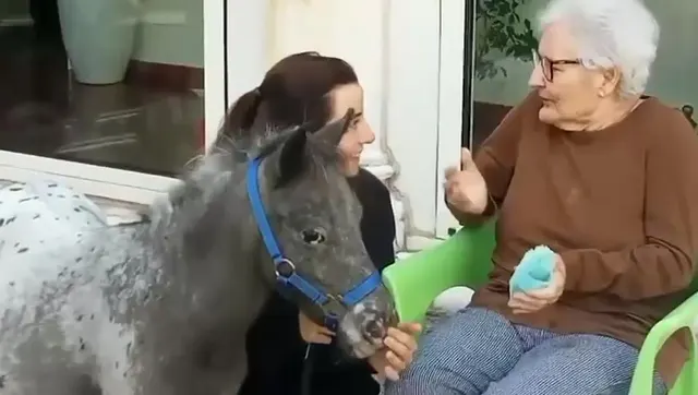 Un incontro con il pony nel giardino della RSA La Residenza