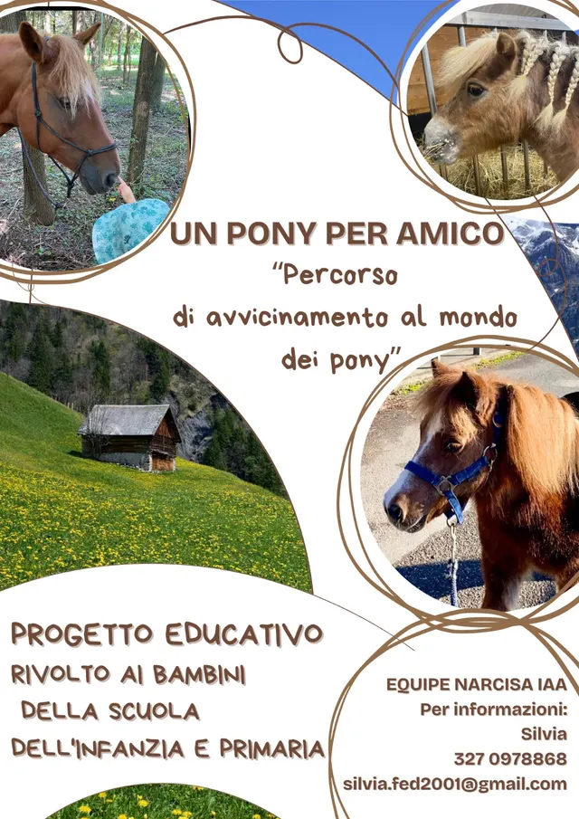 Volantino “Un pony per amico” — percorso di avvicinamento al mondo dei pony per la scuola dell’infanzia e primaria
