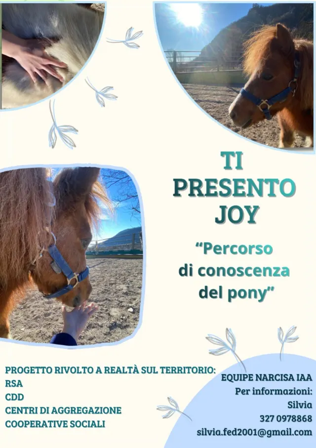 Volantino “Ti presento Joy” — percorso di conoscenza del pony per RSA, CDD, centri di aggregazione e cooperative sociali