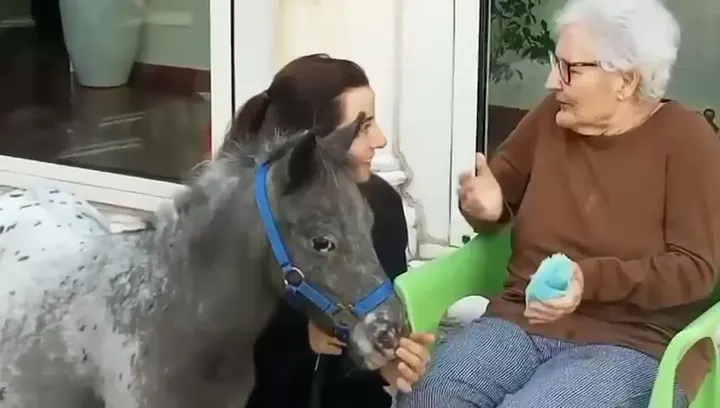 Un incontro con il pony nel giardino della RSA La Residenza