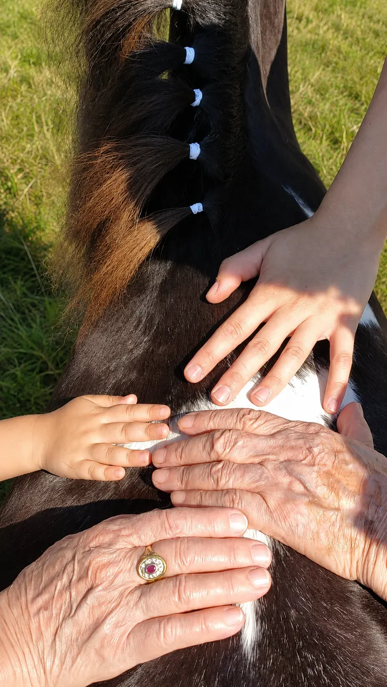 Mani di generazioni diverse posate insieme sul manto di un pony